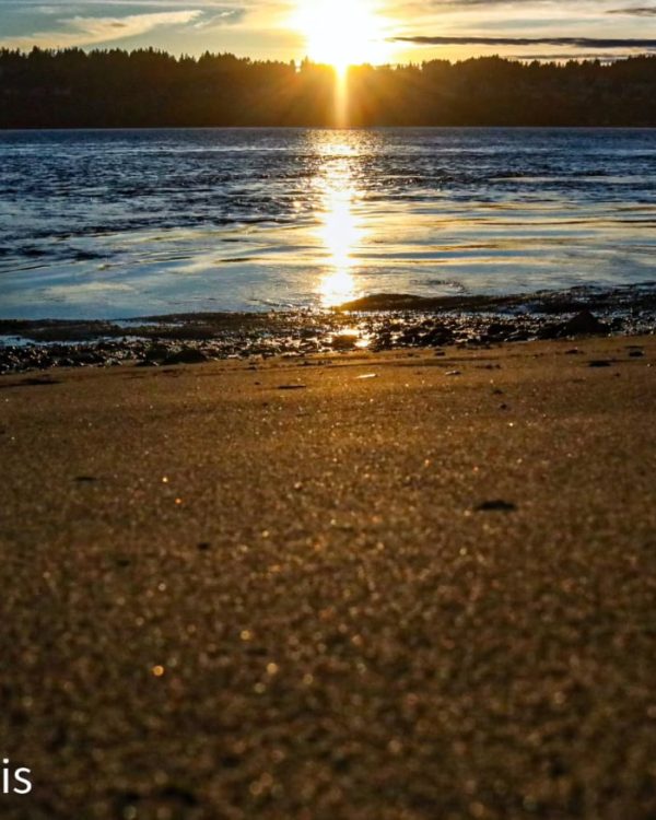 Shoreline Sunrise